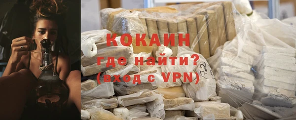 твердый Новодвинск
