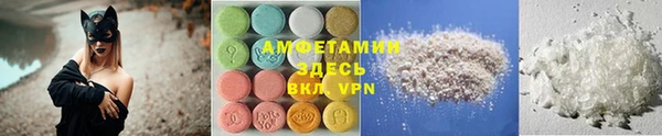 твердый Новодвинск