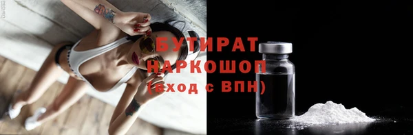 твердый Новодвинск