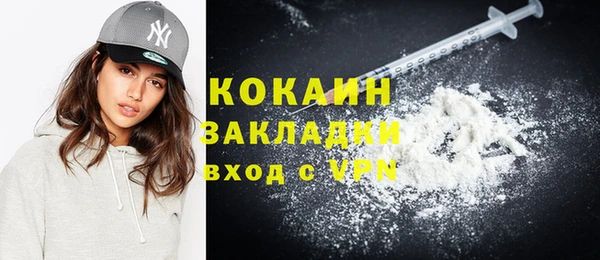 твердый Новодвинск