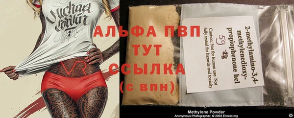 твердый Новодвинск